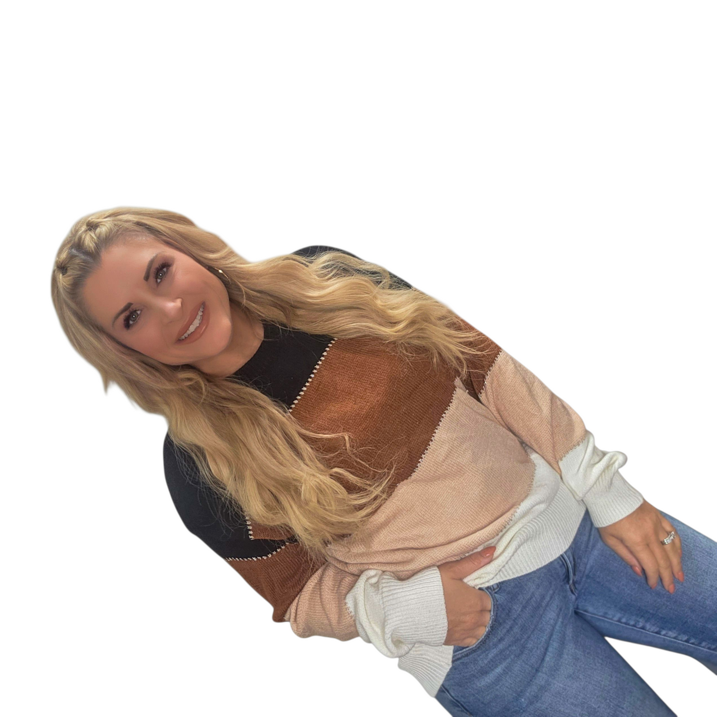 Shades of Chocolate Color Block Sweater