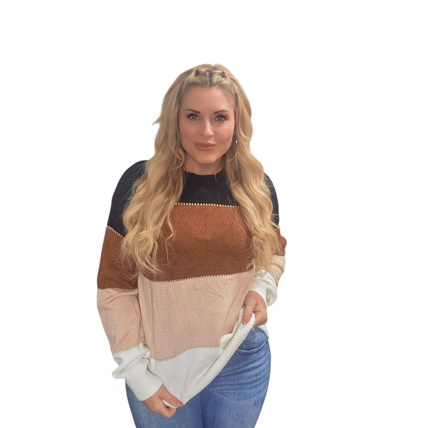 Shades of Chocolate Color Block Sweater